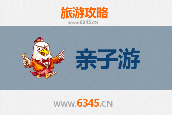茂名电白亲子游攻略：海滩探秘与自然体验的完美之旅